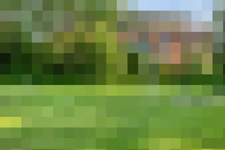 Godfried van Rhenenlaan 2 Montfoort thumbnail 33