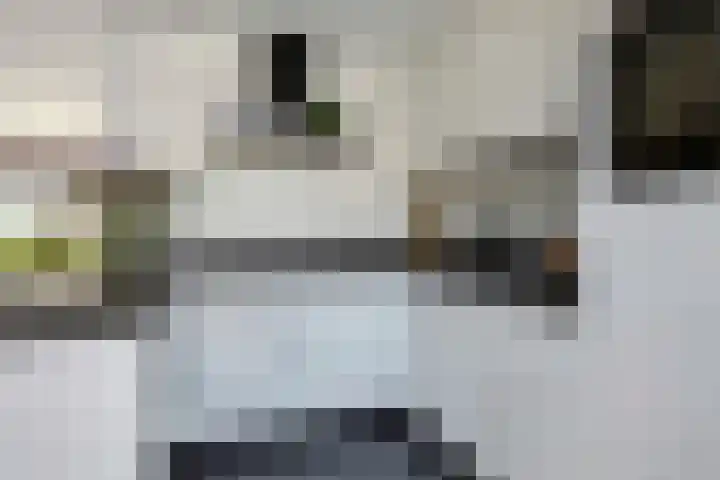 Godfried van Rhenenlaan 2 Montfoort thumbnail 8