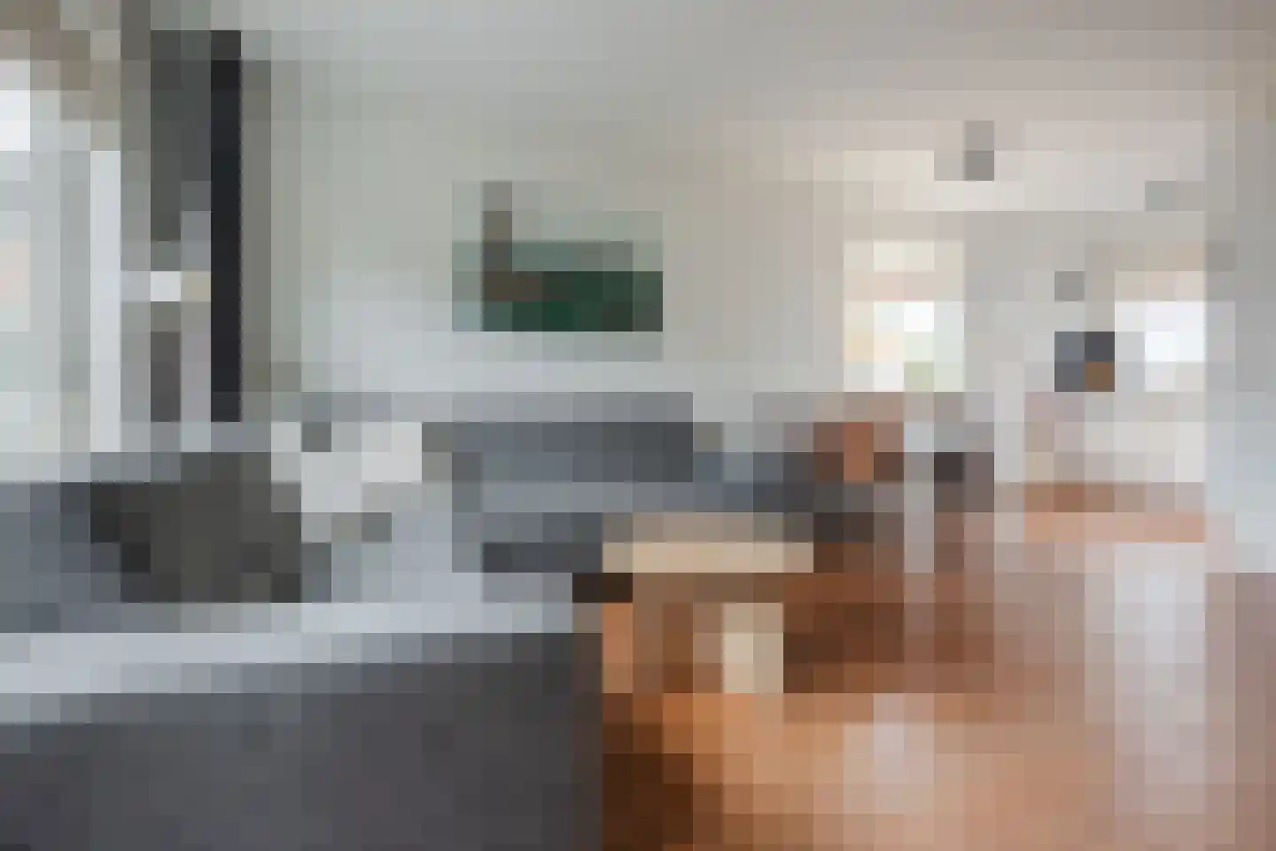 Godfried van Rhenenlaan 24 Vollenhove thumbnail 10