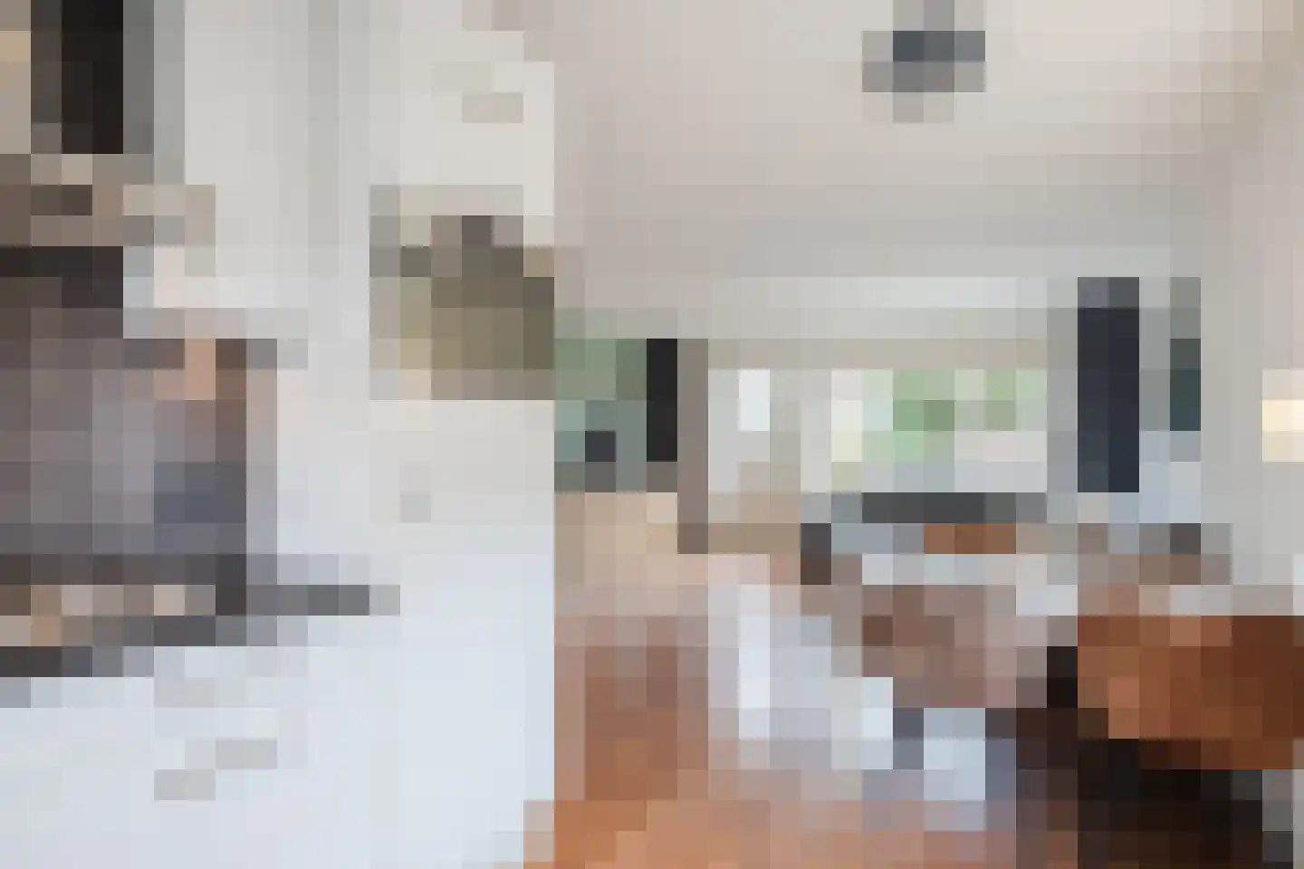 Godfried van Rhenenlaan 24 Vollenhove thumbnail 16