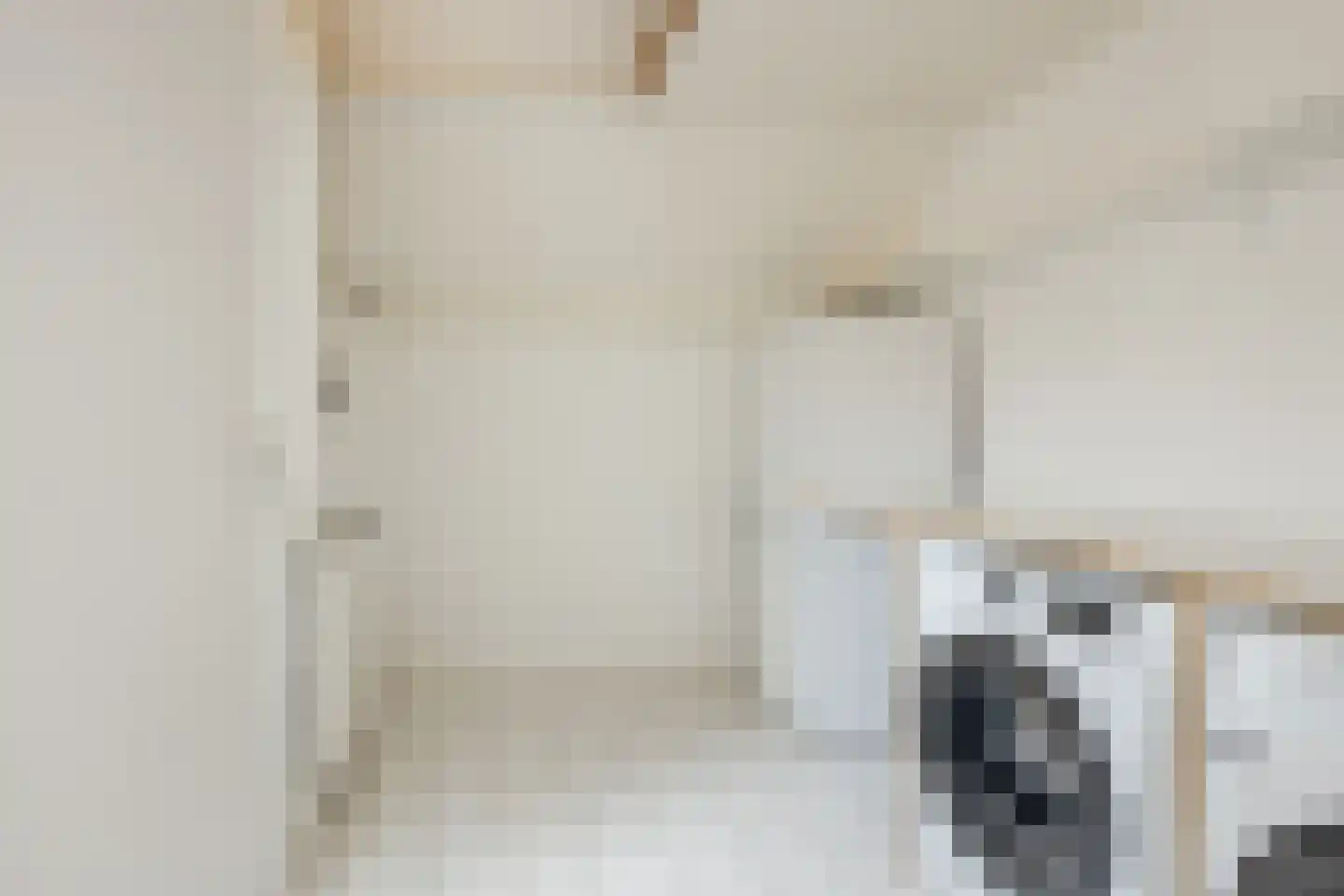 Godfried van Rhenenlaan 24 Vollenhove thumbnail 18