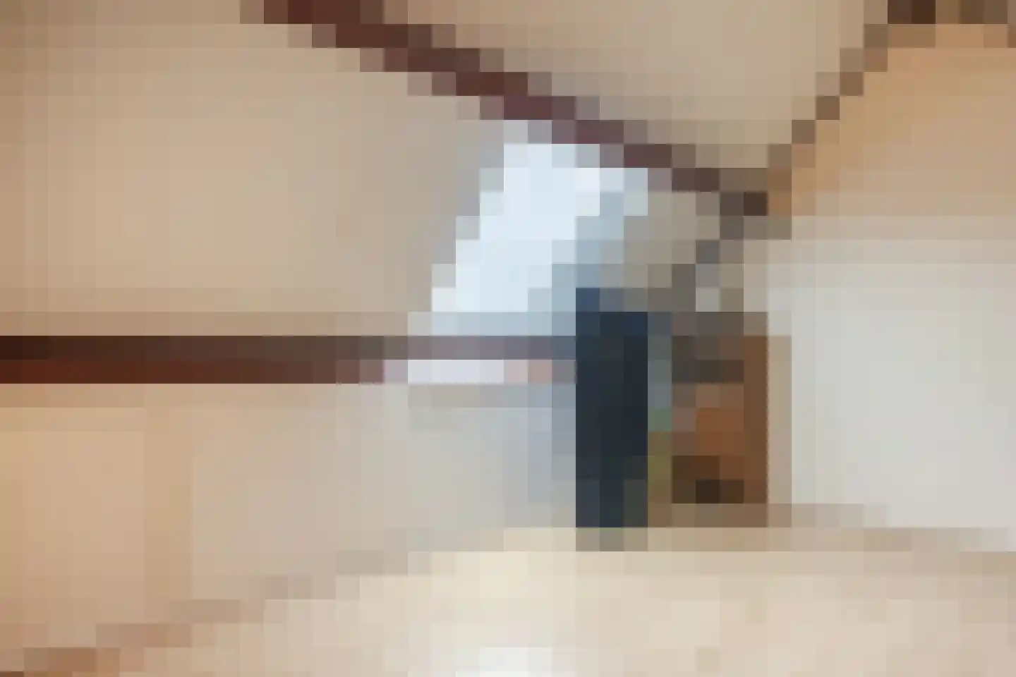 Godfried van Rhenenlaan 24 Vollenhove thumbnail 32