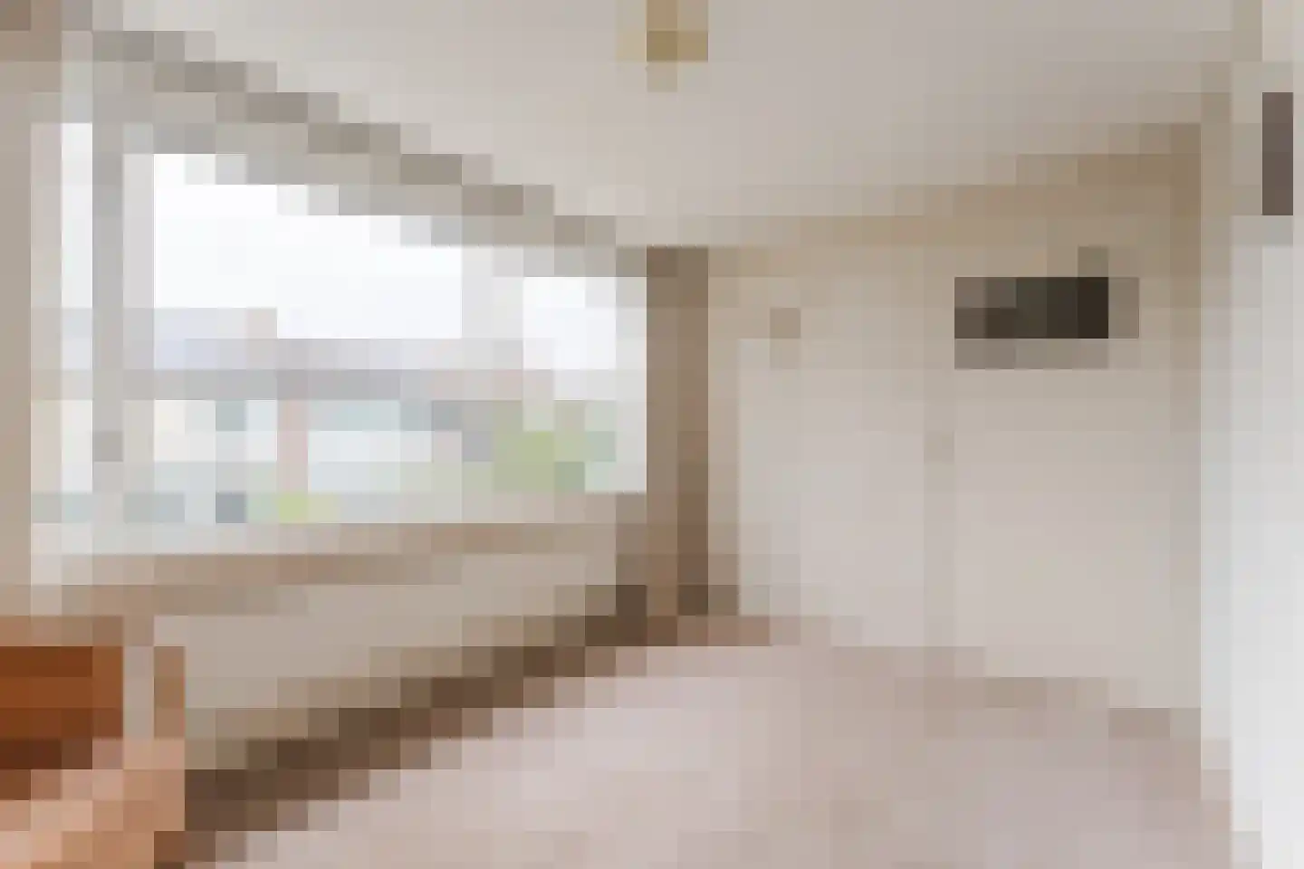 Godfried van Rhenenlaan 39 Montfoort thumbnail 19