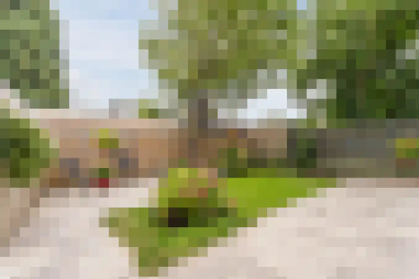 Godfried van Rhenenlaan 39 Montfoort thumbnail 31