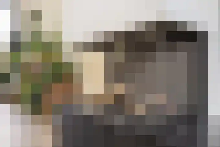 Godfried van Rhenenlaan 8 Montfoort thumbnail 10