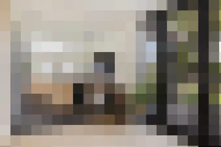Godfried van Rhenenlaan 8 Montfoort thumbnail 12