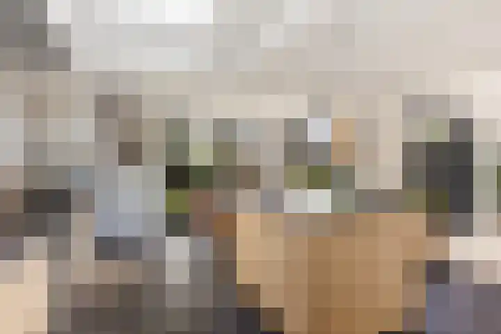 Godfried van Rhenenlaan 8 Montfoort thumbnail 14
