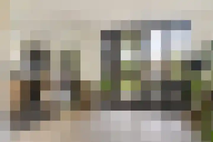 Godfried van Rhenenlaan 8 Montfoort thumbnail 20