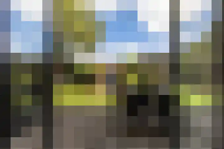 Godfried van Rhenenlaan 8 Montfoort thumbnail 21