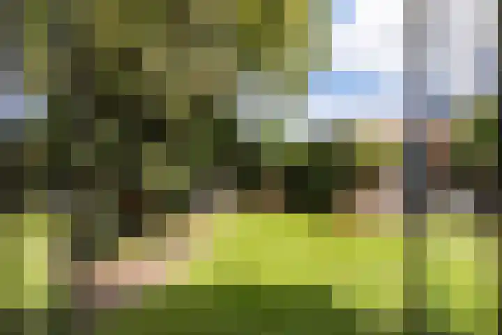Godfried van Rhenenlaan 8 Montfoort thumbnail 22