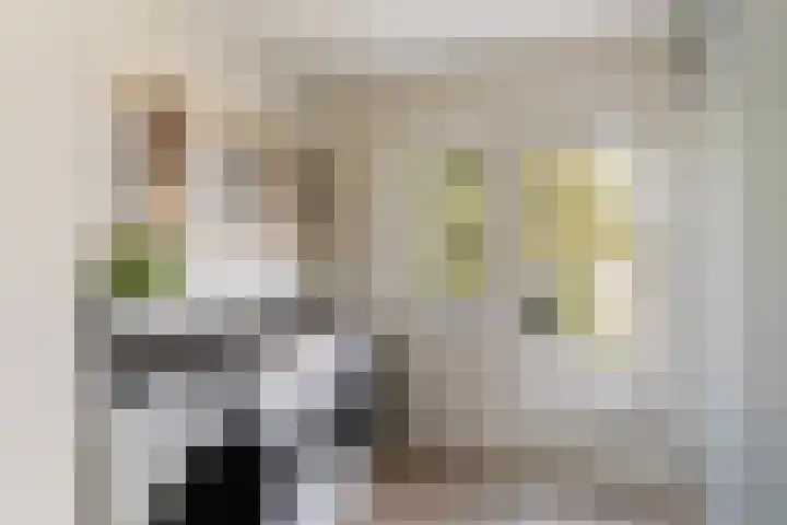 Godfried van Rhenenlaan 8 Montfoort thumbnail 27