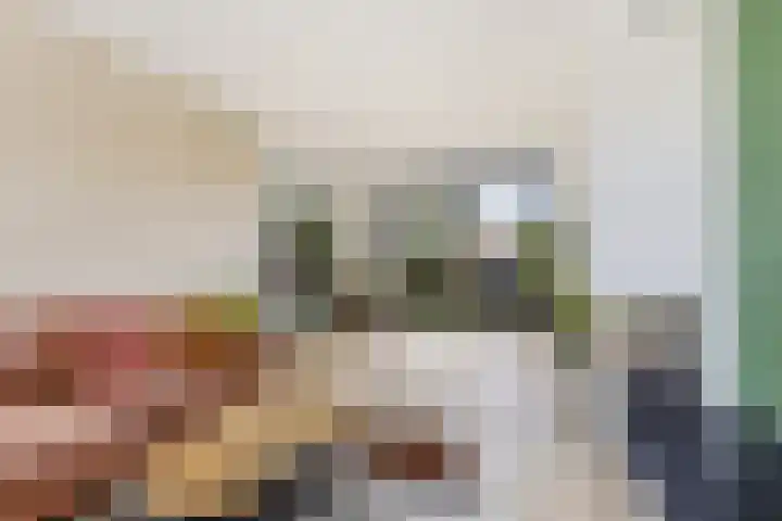 Godfried van Rhenenlaan 8 Montfoort thumbnail 9