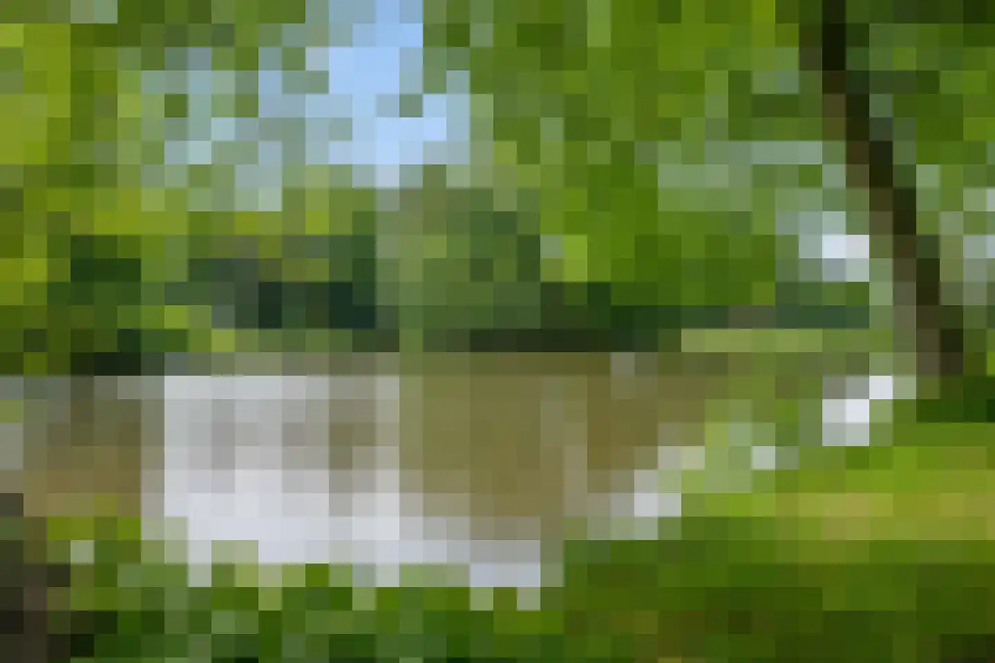 Godfried van Seijstlaan 12 Zeist thumbnail 26