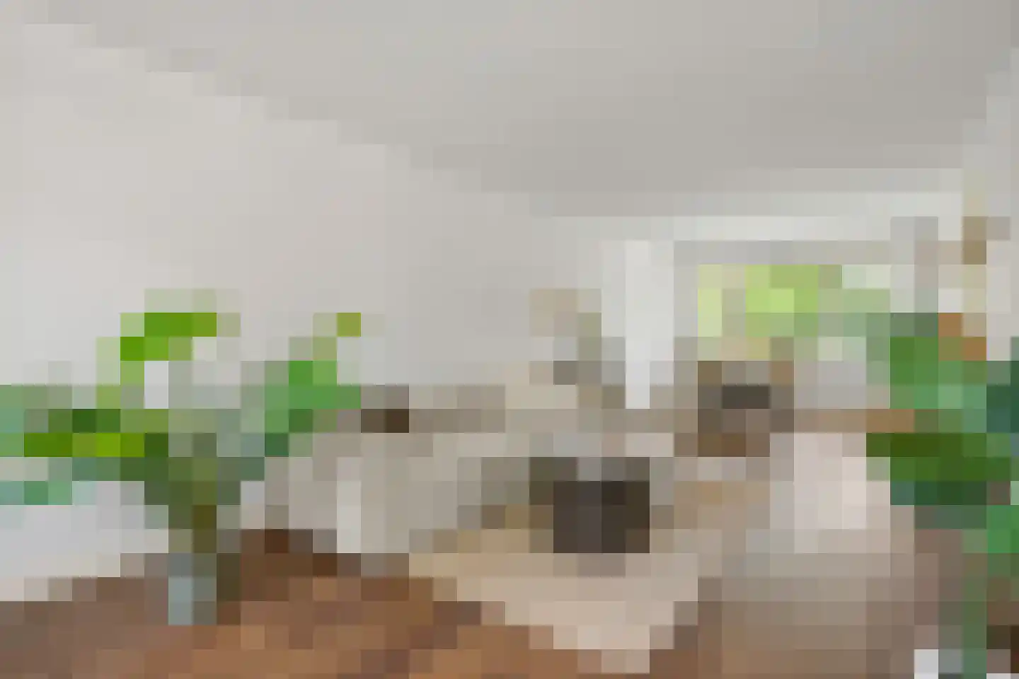Godfried van Seijstlaan 12 Zeist thumbnail 8