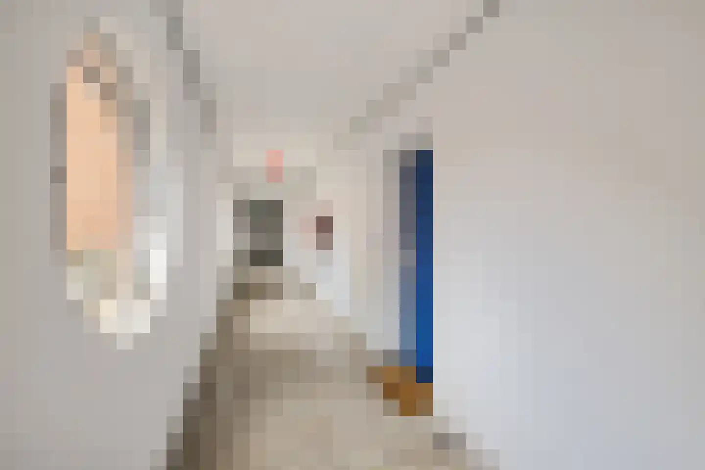 Godfried van Seijstlaan 27 B 8 Zeist thumbnail 6