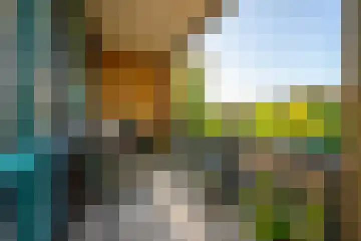 Godfried van Seijstlaan 27 C 4 Zeist thumbnail 15