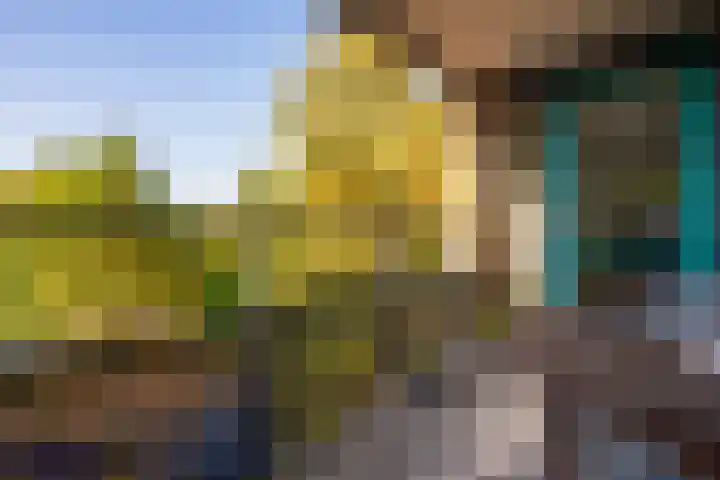 Godfried van Seijstlaan 27 C 4 Zeist thumbnail 16