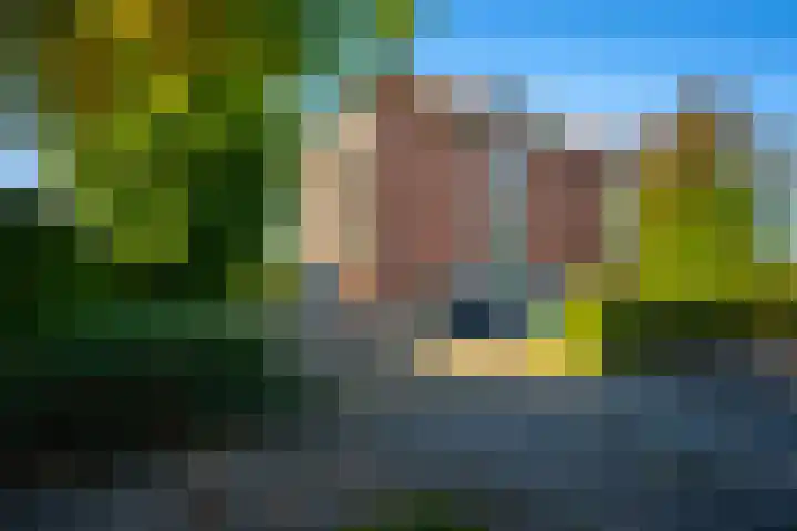 Godfried van Seijstlaan 27 C 4 Zeist thumbnail 22