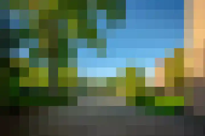 Godfried van Seijstlaan 27 C 4 Zeist thumbnail 23