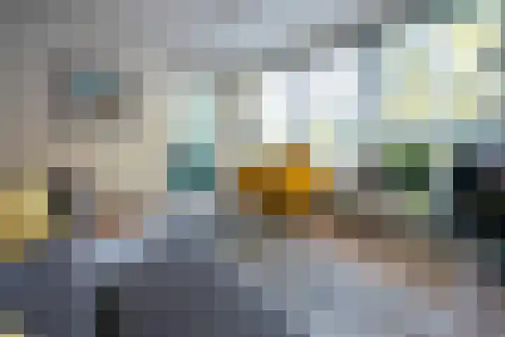 Godfried van Seijstlaan 27 C 4 Zeist thumbnail 5