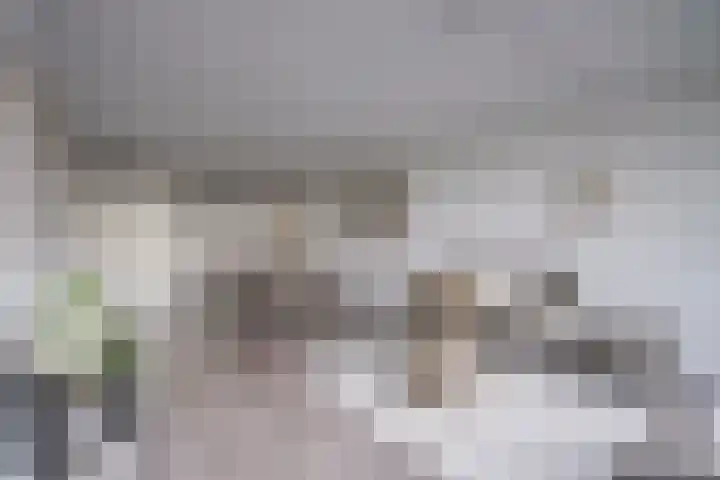 Godfried van Seijstlaan 27 D 9 Zeist thumbnail 10