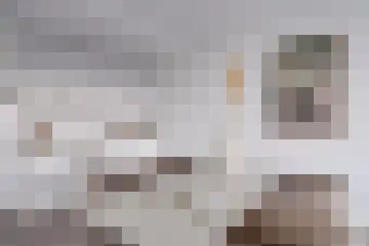 Godfried van Seijstlaan 27 D 9 Zeist thumbnail 12