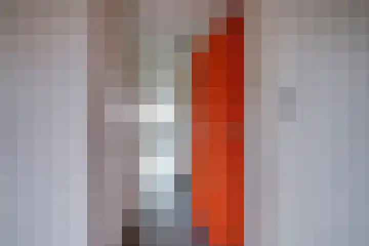 Godfried van Seijstlaan 27 D 9 Zeist thumbnail 6