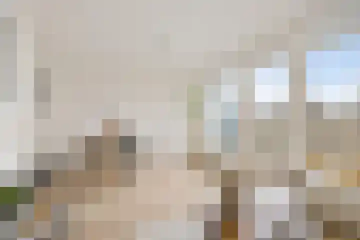 Godfried van Seijstlaan 27 E 6 Zeist thumbnail 10