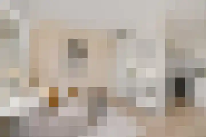 Godfried van Seijstlaan 27 E 6 Zeist thumbnail 9