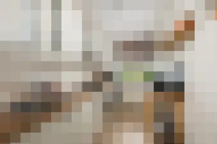 Godijn van Dormaalstraat 126 Rotterdam thumbnail 15