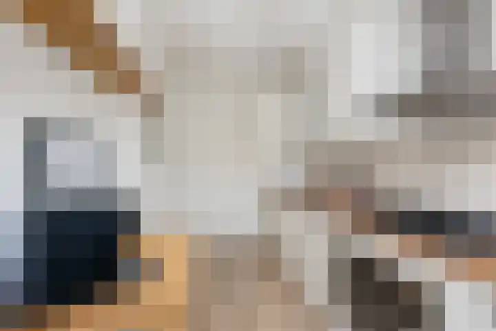 Godijn van Dormaalstraat 126 Rotterdam thumbnail 16
