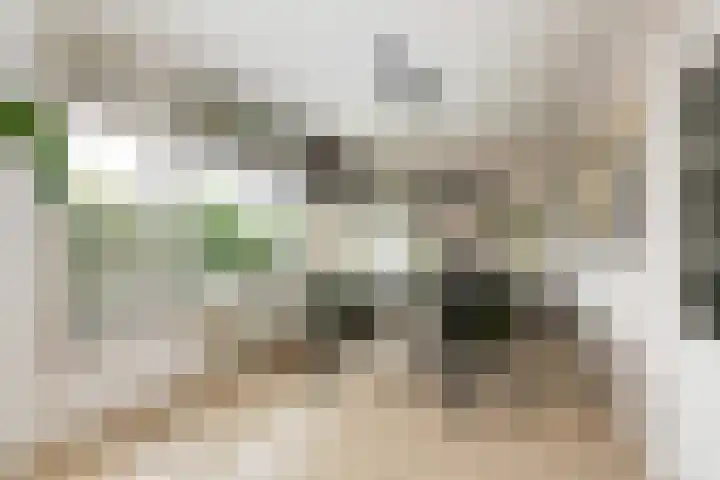 Godijn van Dormaalstraat 126 Rotterdam thumbnail 7