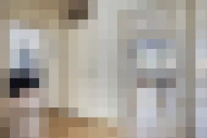 Godijn van Dormaalstraat 17 Rotterdam thumbnail 8