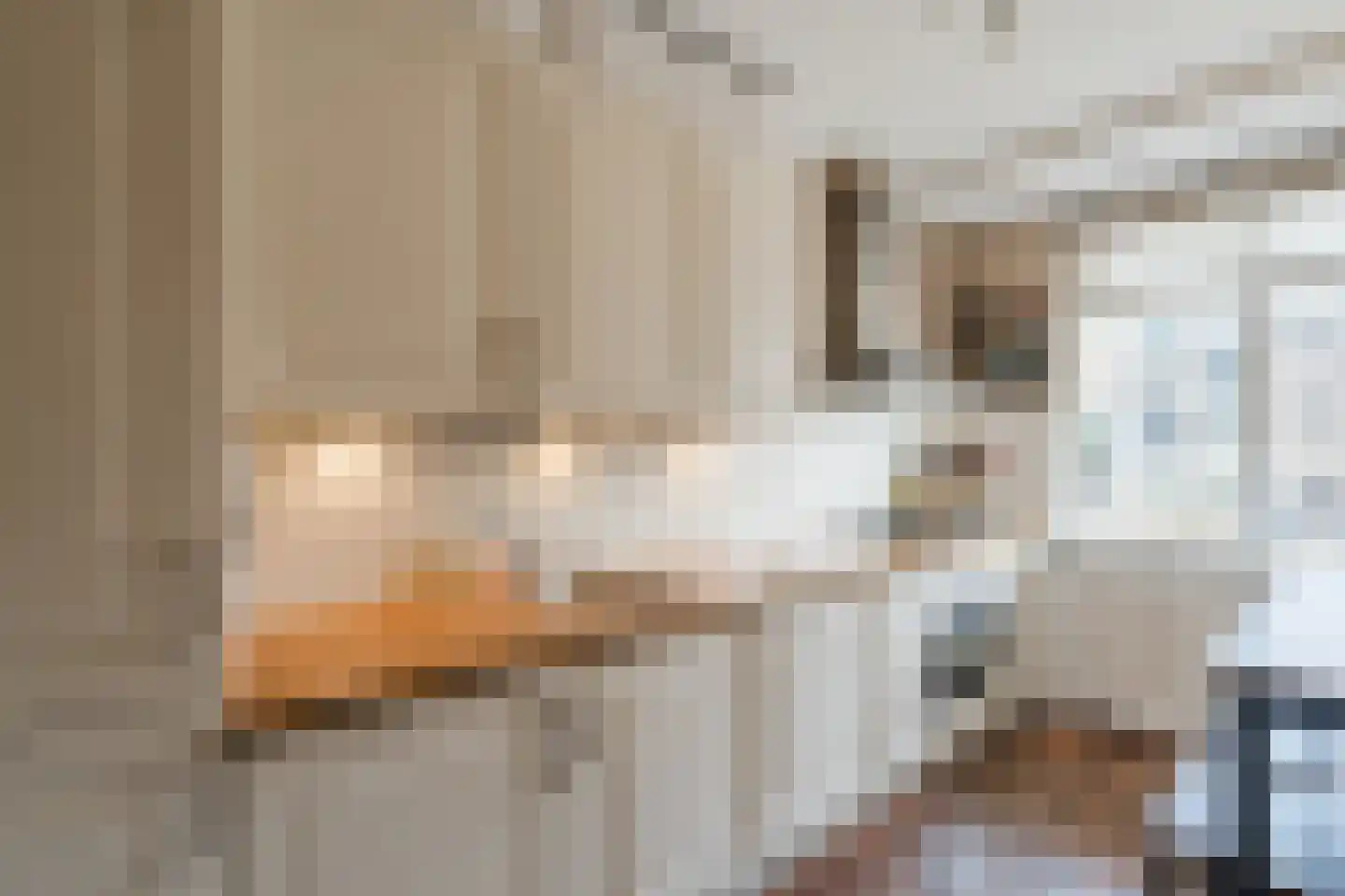 Godijn van Dormaalstraat 32 Rotterdam thumbnail 14