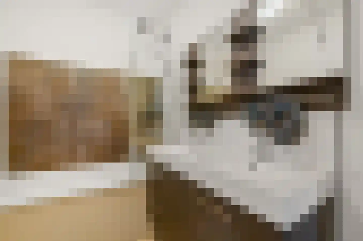 Godijn van Dormaalstraat 58 Rotterdam thumbnail 18