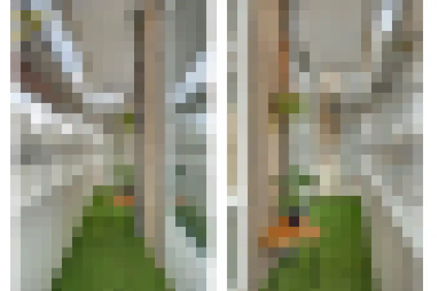 Godijn van Dormaalstraat 62 Rotterdam thumbnail 23