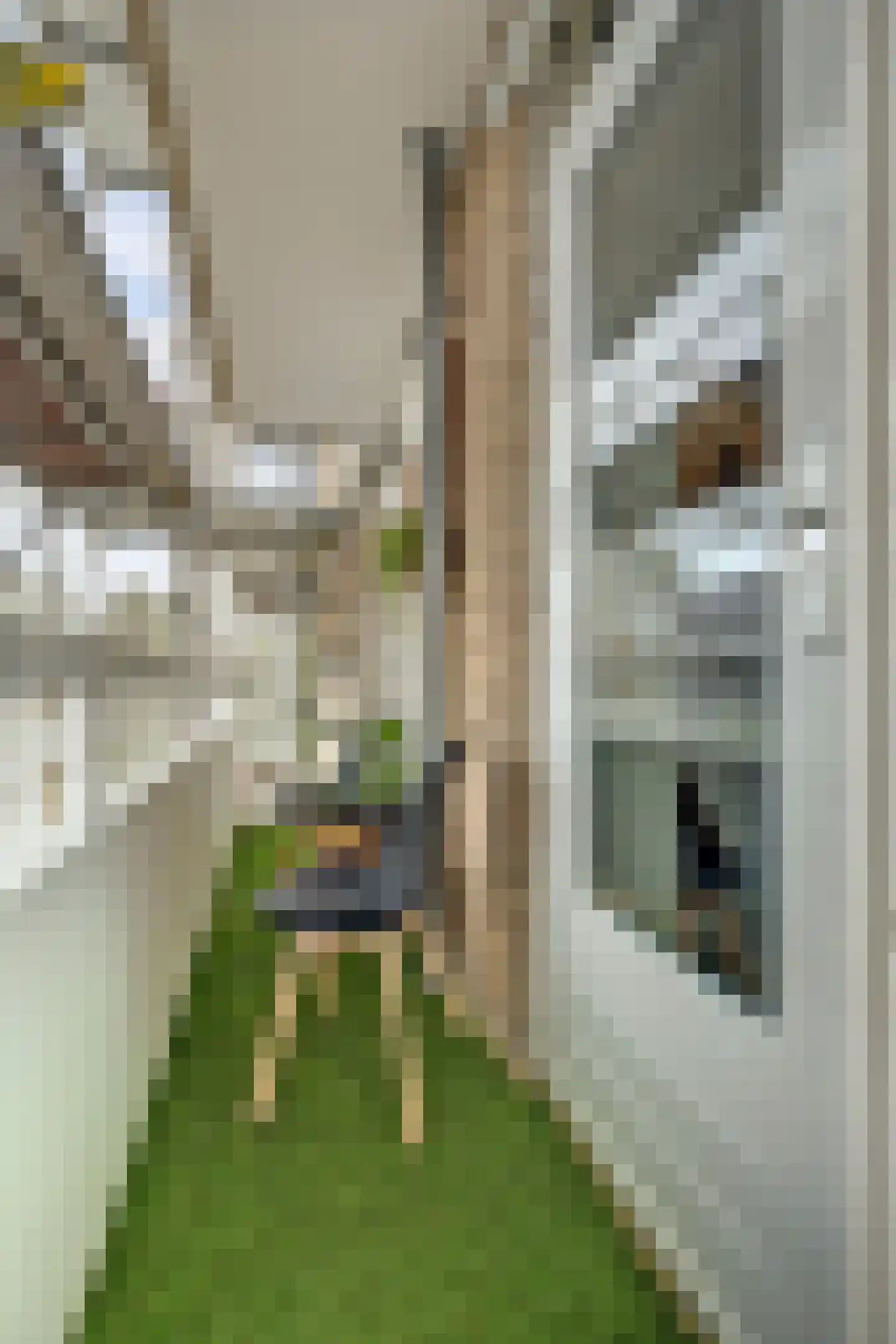 Godijn van Dormaalstraat 62 Rotterdam thumbnail 25