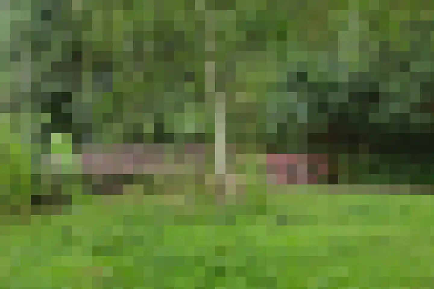 Godijn van Dormaalstraat 62 Rotterdam thumbnail 26