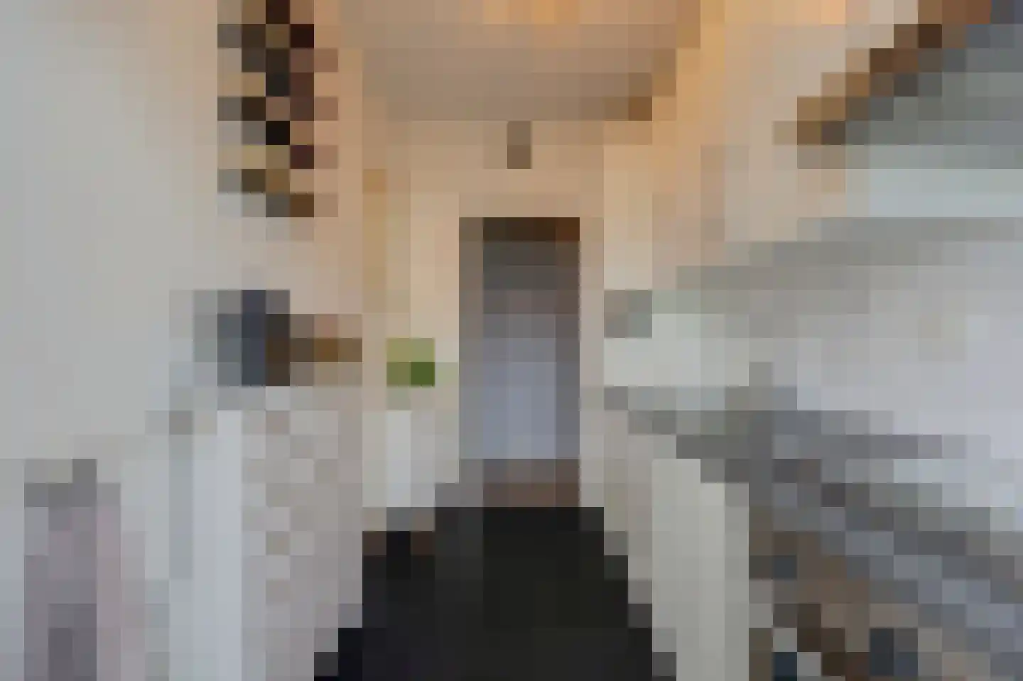 Godijn van Dormaalstraat 62 Rotterdam thumbnail 4