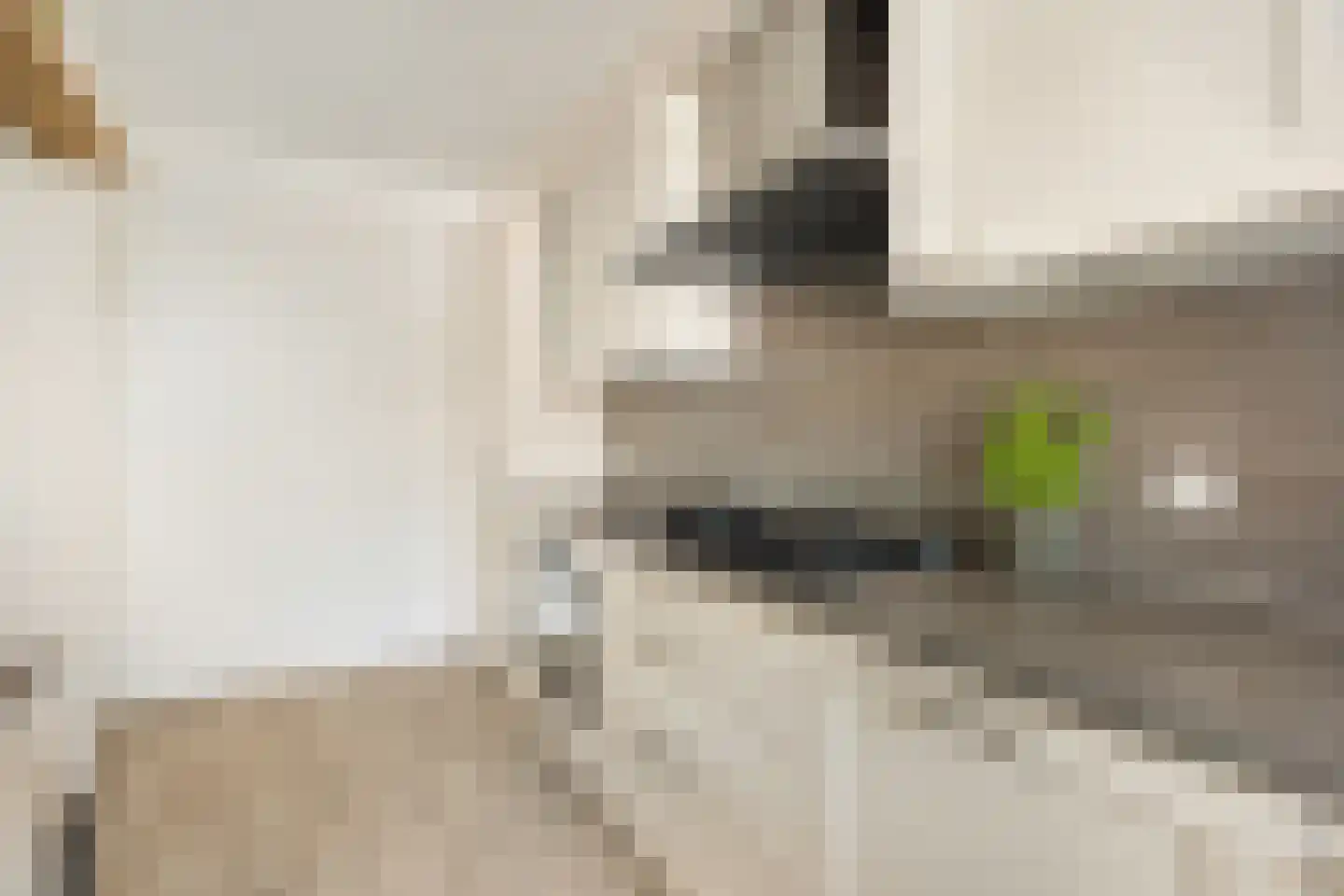 Godijn van Dormaalstraat 82 Rotterdam thumbnail 33