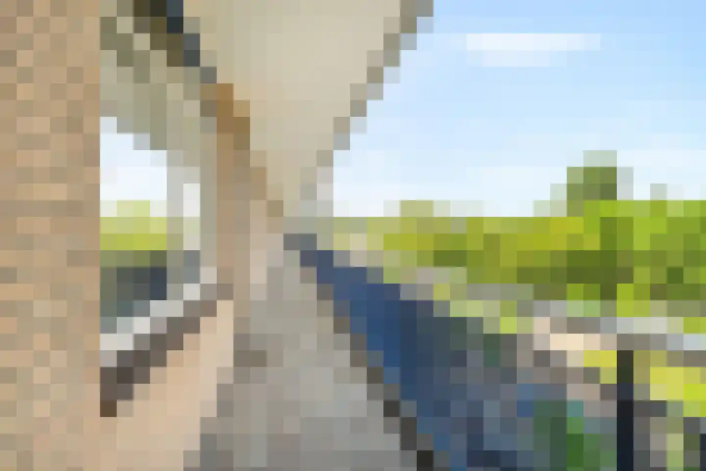 Godijn van Dormaalstraat 82 Rotterdam thumbnail 9