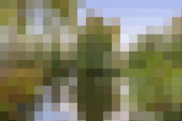 Godijn van Dormaalstraat 94 Rotterdam thumbnail 5