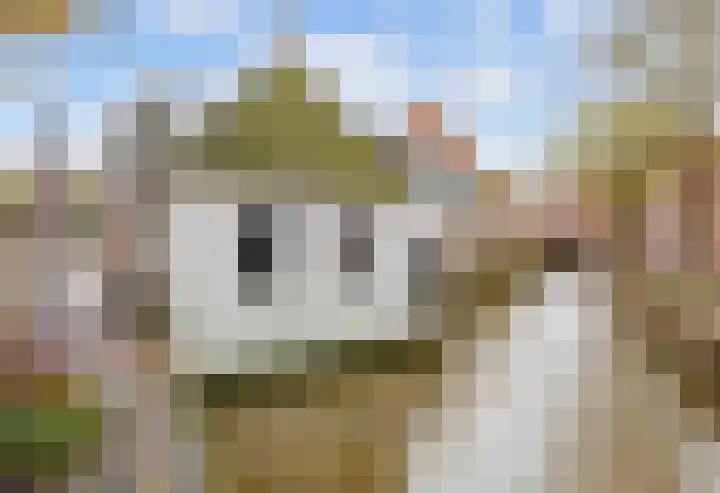 Godsacker 37 Franeker thumbnail 12
