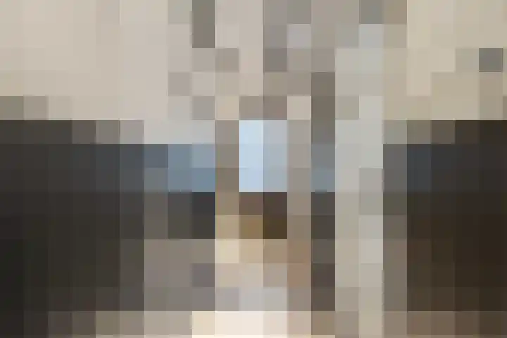 Godsacker 37 Franeker thumbnail 13