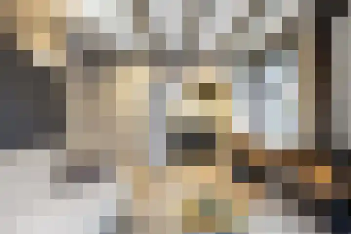 Godsacker 37 Franeker thumbnail 24