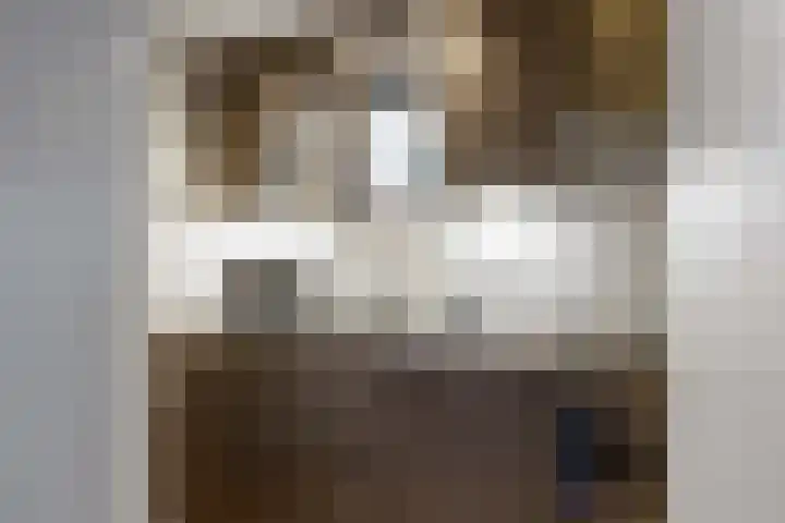 Godsacker 37 Franeker thumbnail 32