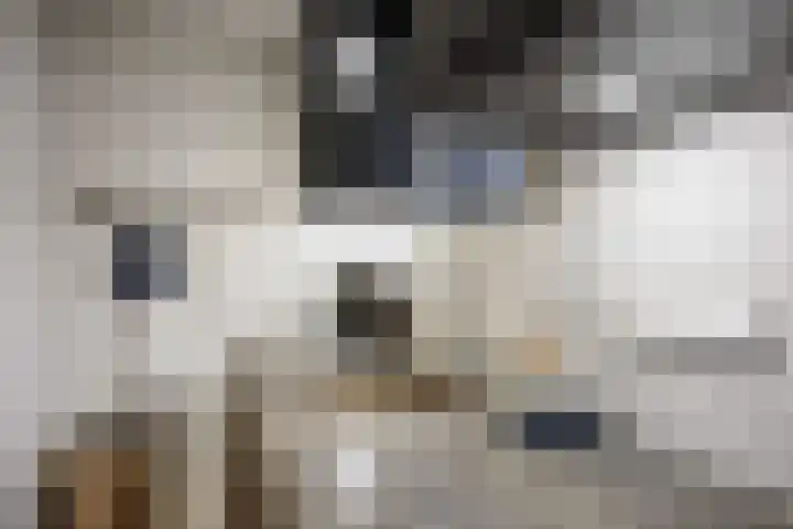 Godsacker 37 Franeker thumbnail 34