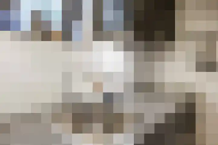 Godsacker 37 Franeker thumbnail 35