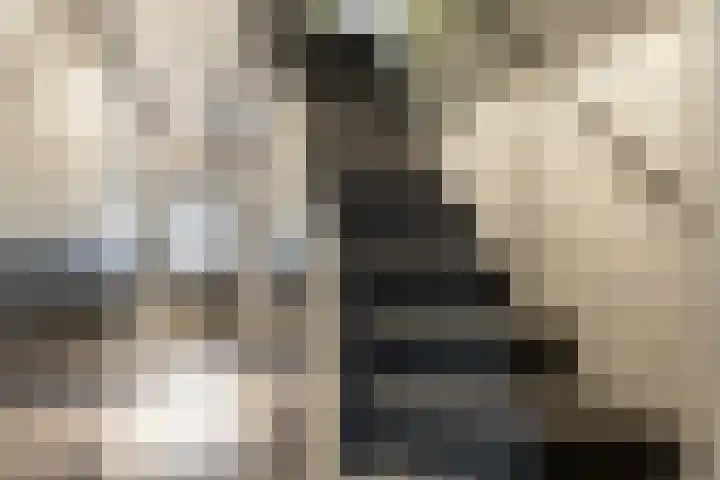 Godsacker 37 Franeker thumbnail 36