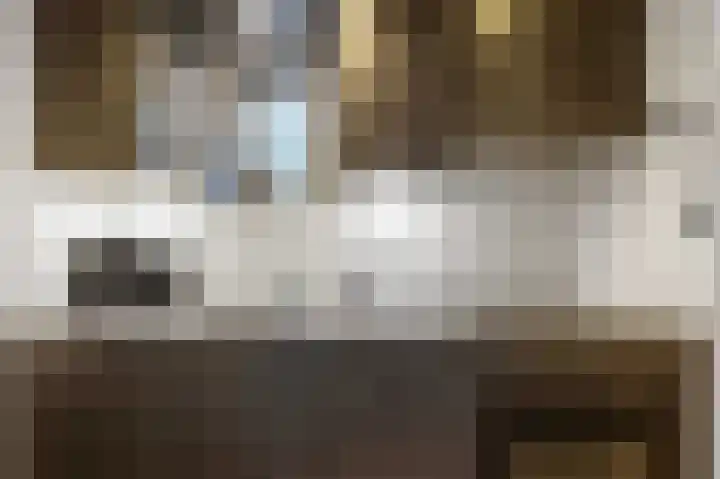 Godsacker 37 Franeker thumbnail 4